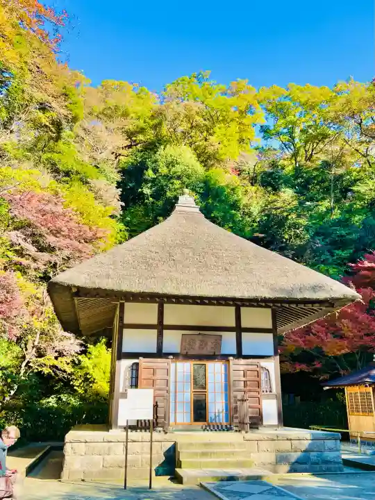 明月院(神奈川県)