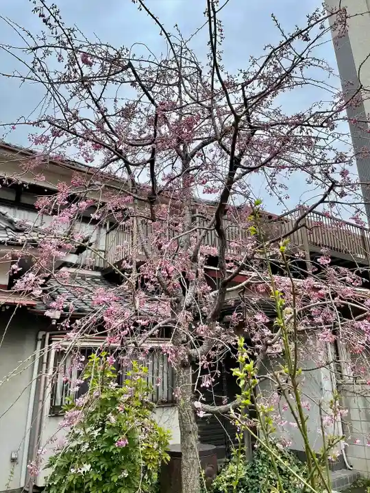 今戸神社(東京都)