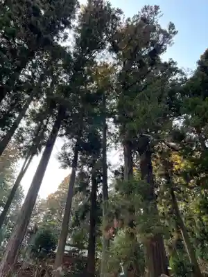 大宮温泉神社(栃木県)
