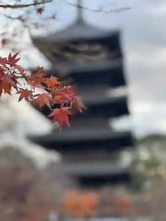 東寺(教王護国寺)(京都府)