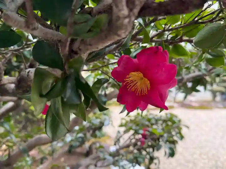 西方山極楽寺(岐阜県)