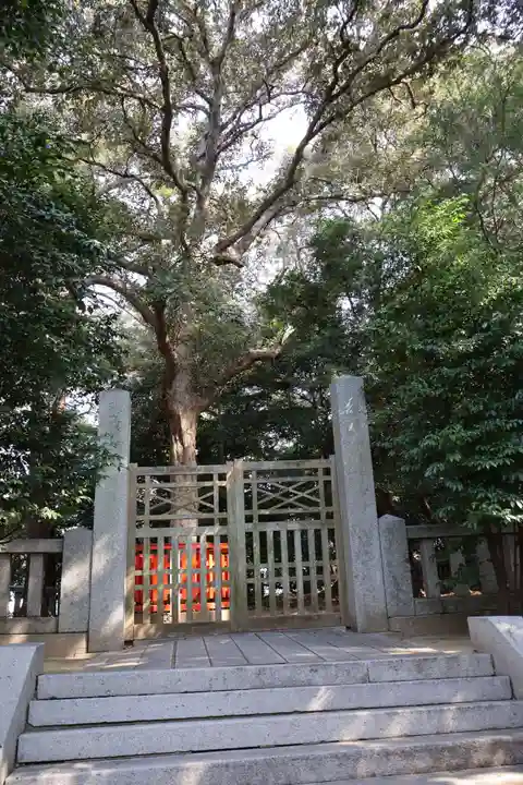 古宮 (神木『香推』)(福岡県)