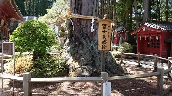北口本宮冨士浅間神社(山梨県)