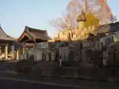 泰岳寺の塔