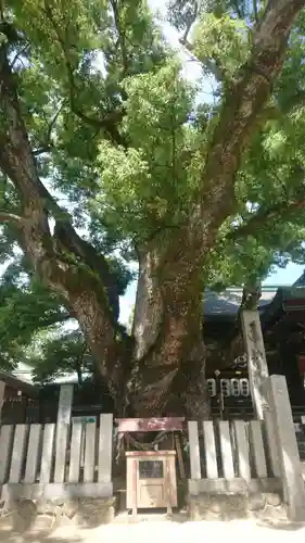 石切劔箭神社(大阪府)
