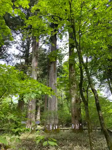 瀧尾神社（日光二荒山神社別宮）の自然