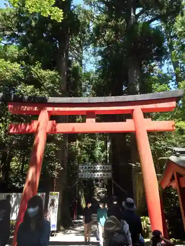 箱根神社の鳥居