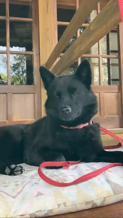 定林山 能成寺(山梨県)