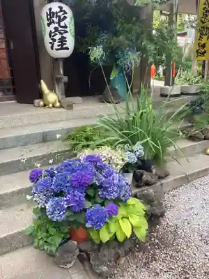 蛇窪神社(東京都)