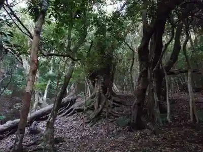 大元神社（宇佐神宮奥宮）(大分県)