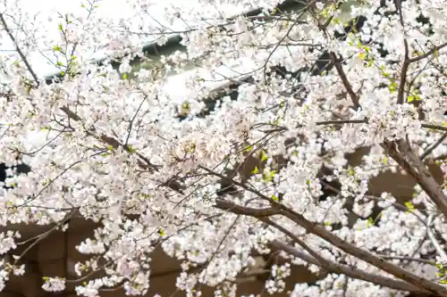 坐摩神社(大阪府)