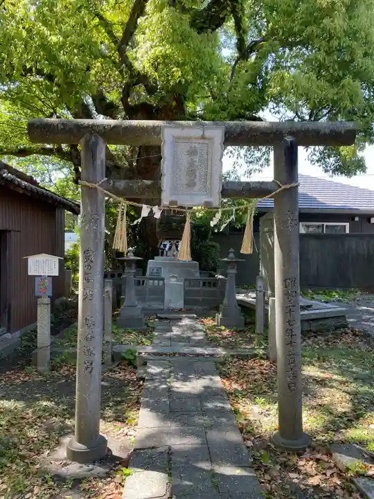 大麻比古神社(徳島県)