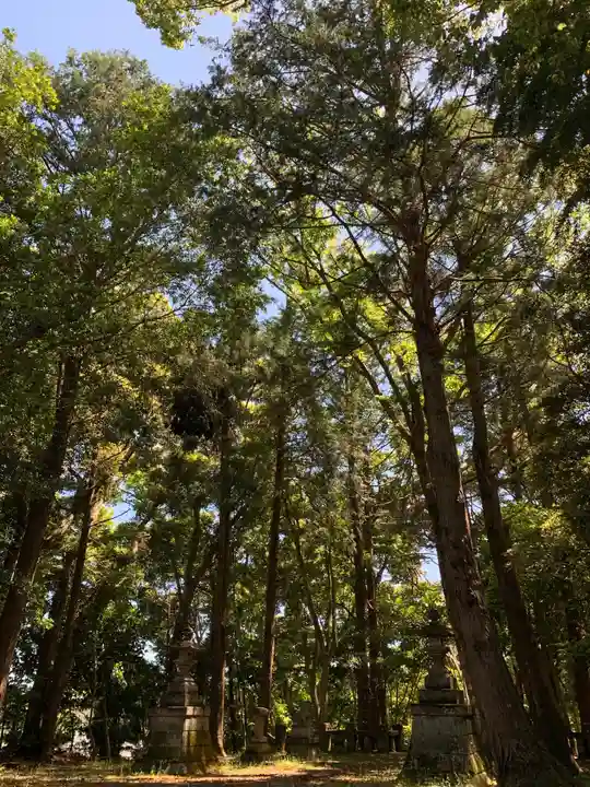 大宮神社のその他建物