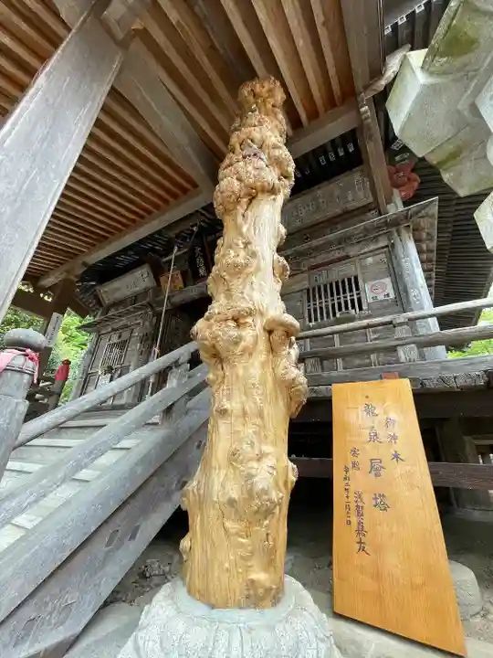 法泉寺(埼玉県)