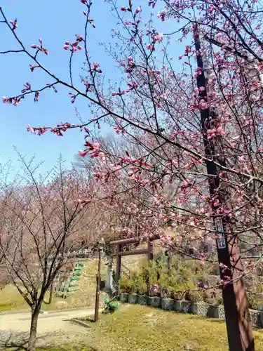 厚別神社(北海道)