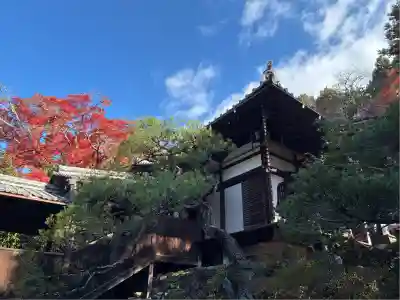 霊鑑寺門跡(京都府)