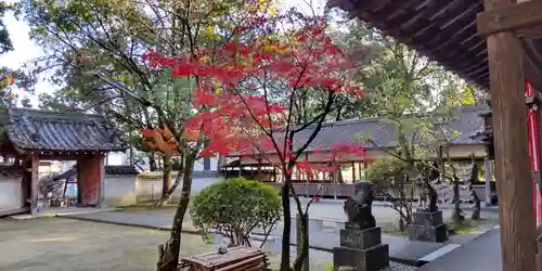 相楽神社(京都府)