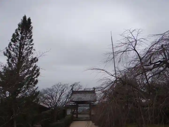 桃林寺(三重県)