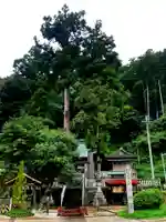 諏訪神社のその他建物