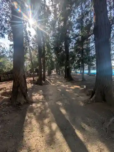 香取神社の{uncategorized: "未分類", other: "その他", undefined: "問題あり", building: "その他建物", grave: "お墓", sacred_gate: "鳥居", guardian: "狛犬", statue: "像", buddha: "仏像", history: "歴史", nature: "自然", garden: "庭園", animal: "動物", pagoda: "塔", temizu: "手水舎", mountain_gate: "山門・神門", sanctuary: "本殿・本堂", subordinate: "末社・摂社", art: "芸術", scenery: "景色", jizo: "地蔵", ema: "絵馬", goshuin: "御朱印", omikuji: "おみくじ", items: "授与品その他", amulet: "お守り", goshuincho: "御朱印帳", eats: "食事", festival: "お祭り", votive_dance: "神楽", shichigosan: "七五三参", wedding: "結婚式", experience: "体験その他", initially: "初詣", around: "周辺", anti_infection: "感染症対策"}