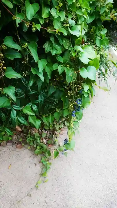 萩園神社の自然