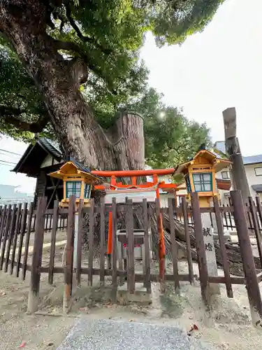 阿遅速雄神社(大阪府)
