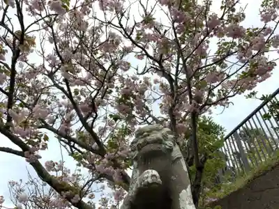 大萩神社の自然