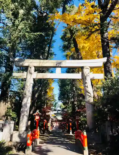 馬橋稲荷神社の鳥居