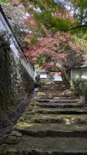 勝持寺（花の寺）(京都府)