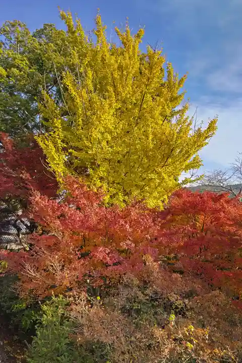 円興寺(岐阜県)