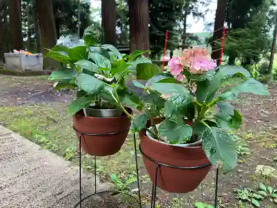 大宮温泉神社(栃木県)