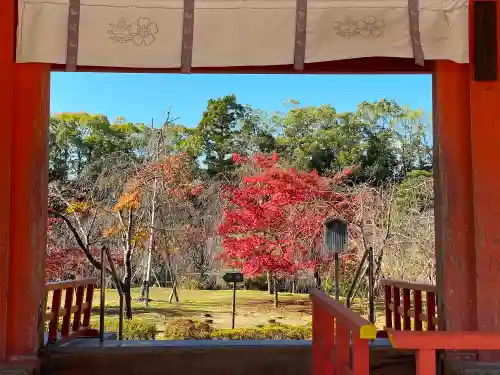 平安神宮の庭園