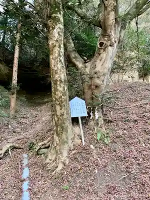 青麻神社(宮城県)