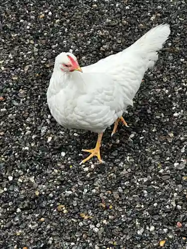 伊勢神宮外宮（豊受大神宮）(三重県)