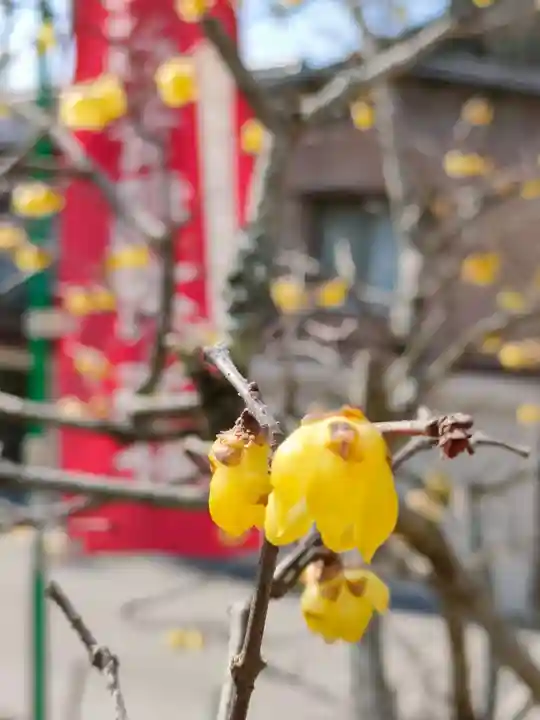 足助山稲荷大明神の自然