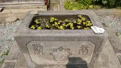 天祐寺の手水舎