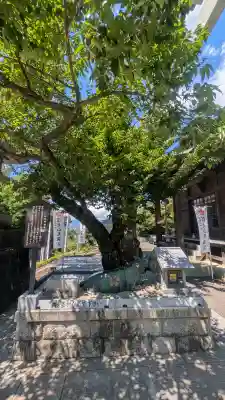 信夫山天満宮(福島県)