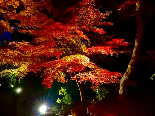 宝満宮竈門神社の自然