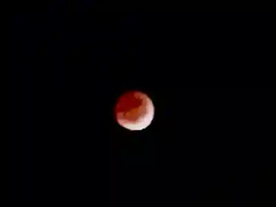 與良蛭子神社の景色