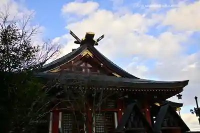 大山阿夫利神社の本殿・本堂