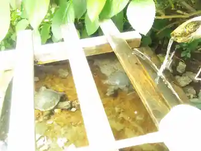 御嶽社（与野七福神弁財天）の手水舎