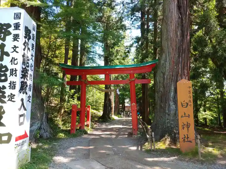 中尊寺(岩手県)