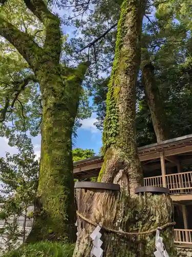 多度大社(三重県)