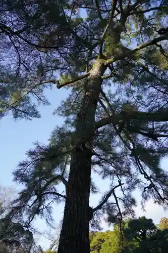 伊勢神宮内宮（皇大神宮）(三重県)