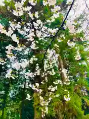 日先神社の自然