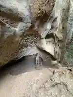 垂水不動尊の{uncategorized: "未分類", other: "その他", undefined: "問題あり", building: "その他建物", grave: "お墓", sacred_gate: "鳥居", guardian: "狛犬", statue: "像", buddha: "仏像", history: "歴史", nature: "自然", garden: "庭園", animal: "動物", pagoda: "塔", temizu: "手水舎", mountain_gate: "山門・神門", sanctuary: "本殿・本堂", subordinate: "末社・摂社", art: "芸術", scenery: "景色", jizo: "地蔵", ema: "絵馬", goshuin: "御朱印", omikuji: "おみくじ", items: "授与品その他", amulet: "お守り", goshuincho: "御朱印帳", eats: "食事", festival: "お祭り", votive_dance: "神楽", shichigosan: "七五三参", wedding: "結婚式", experience: "体験その他", initially: "初詣", around: "周辺", anti_infection: "感染症対策"}