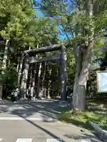 北海道神宮の鳥居