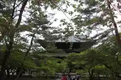 南禅寺の建物その他