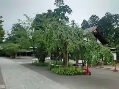 志波彦神社・鹽竈神社(宮城県)