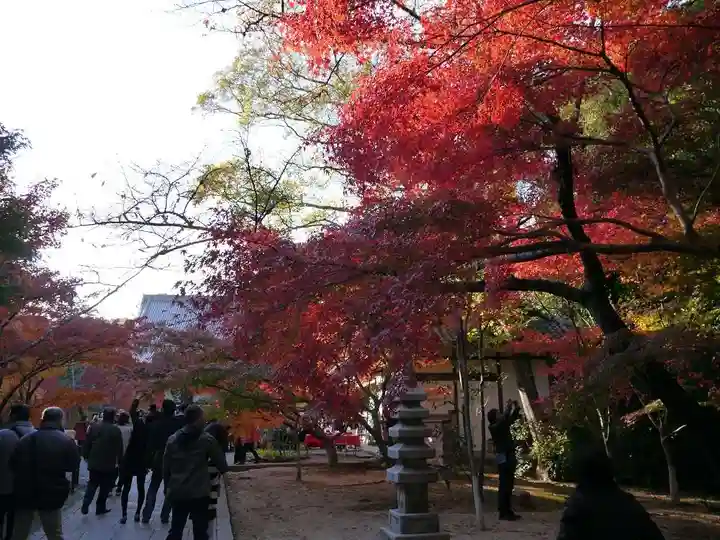 光明寺(粟生光明寺)のその他建物